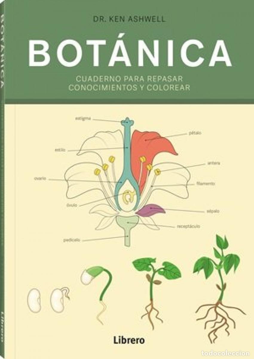 books: BOTANICA - ASHWELL, KEN