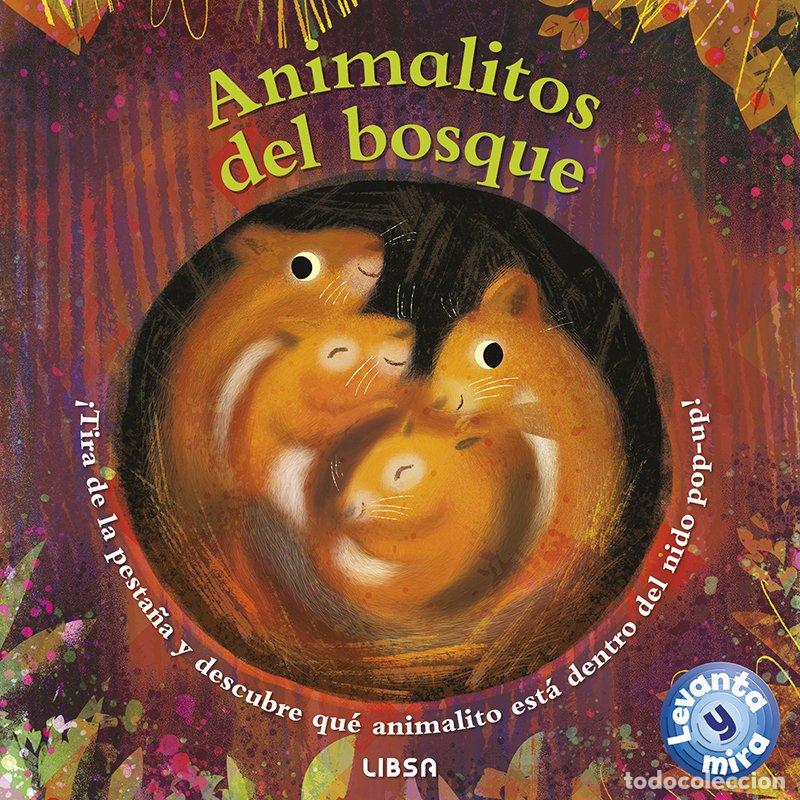 Livres: ANIMALITOS DEL BOSQUE - AUSTIN, LUCIE
