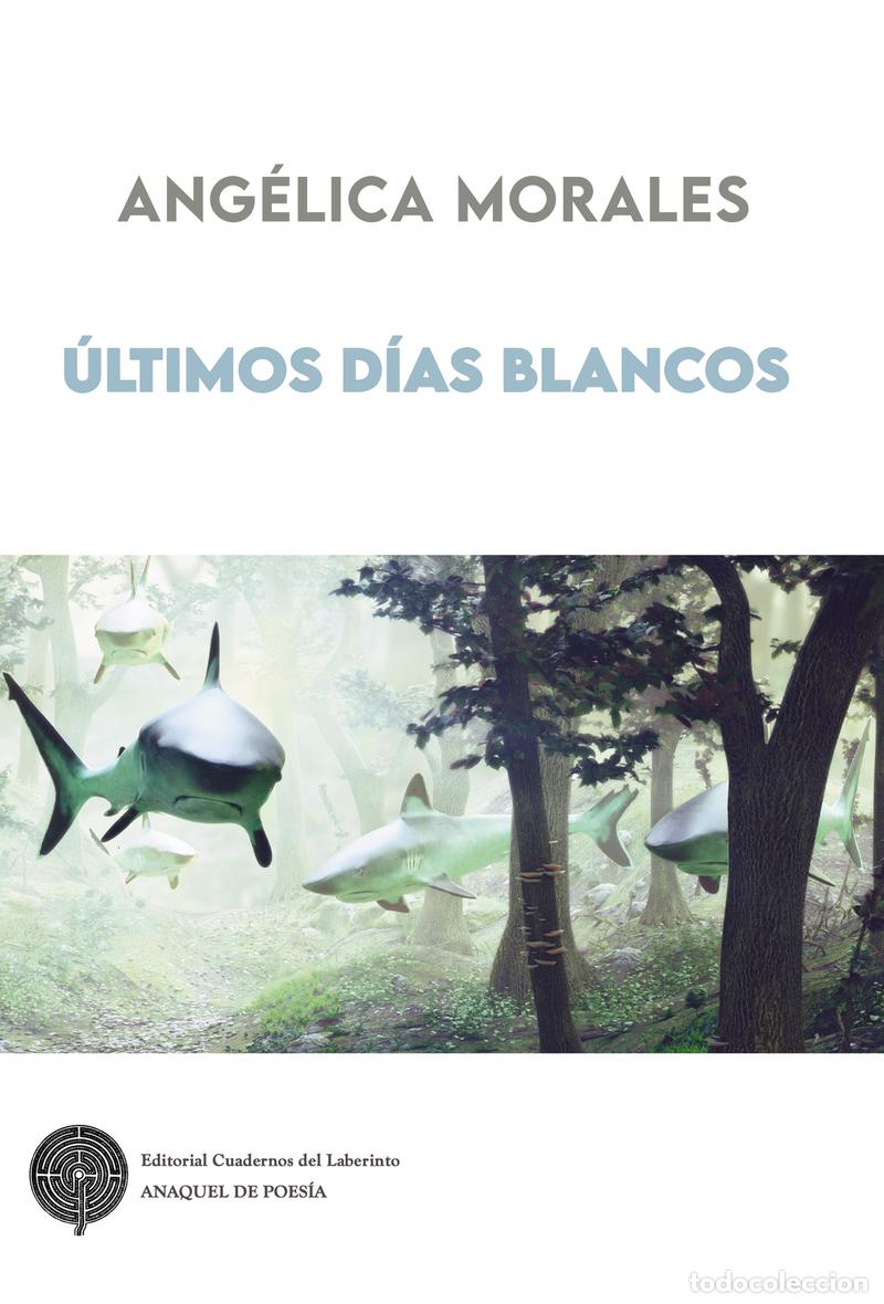Libri: ULTIMOS DIAS BLANCOS - MORALES, ANGELICA