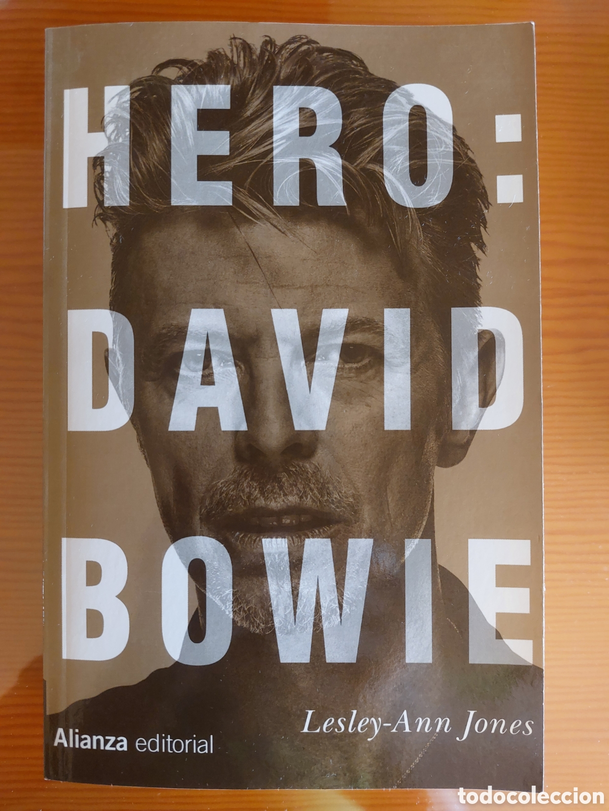 Libros: Hero: David Bowie. Lesley-Ann Jones