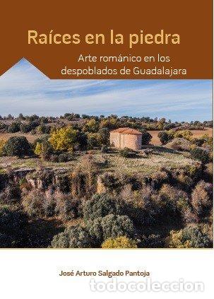 Livres: RAICES EN LA TIERRA ARTE ROMANICO EN LOS - SALGADO PANTOJA, JOSE ARTURO