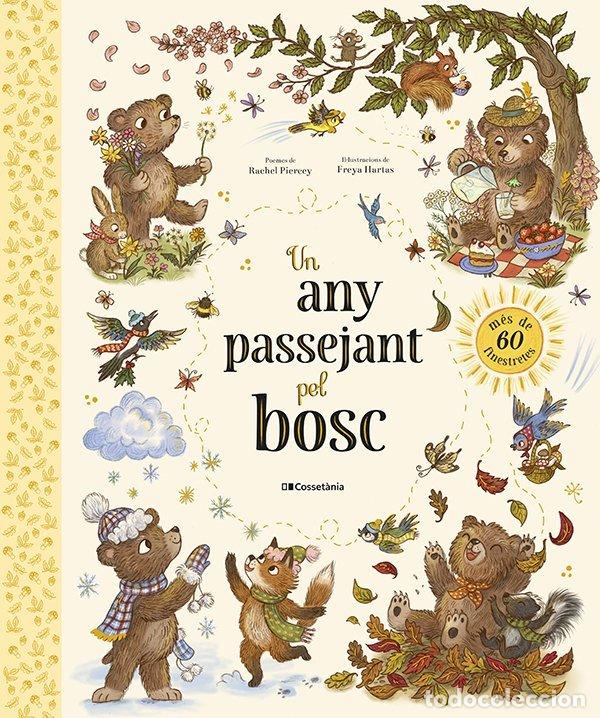 Libros: UN ANY PASSEJANT PEL BOSC - PIERCEY, RACHEL