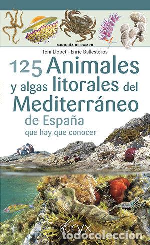 Libri: 125 ANIMALES Y ALGAS LITORALES DEL MEDITERRANEO DE ESPA&Ntilde;A QU - LLOBET, TONI