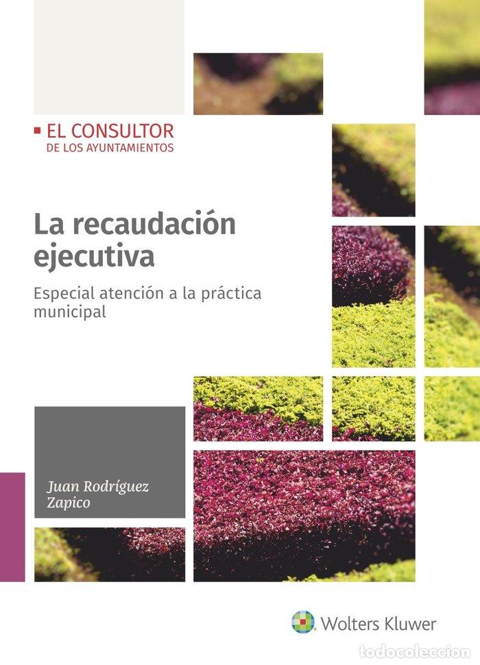 B&uuml;cher: LA RECAUDACION EJECUTIVA - RODRIGUEZ ZAPICO, JUAN