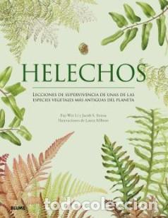 Livres: HELECHOS - Varios autores