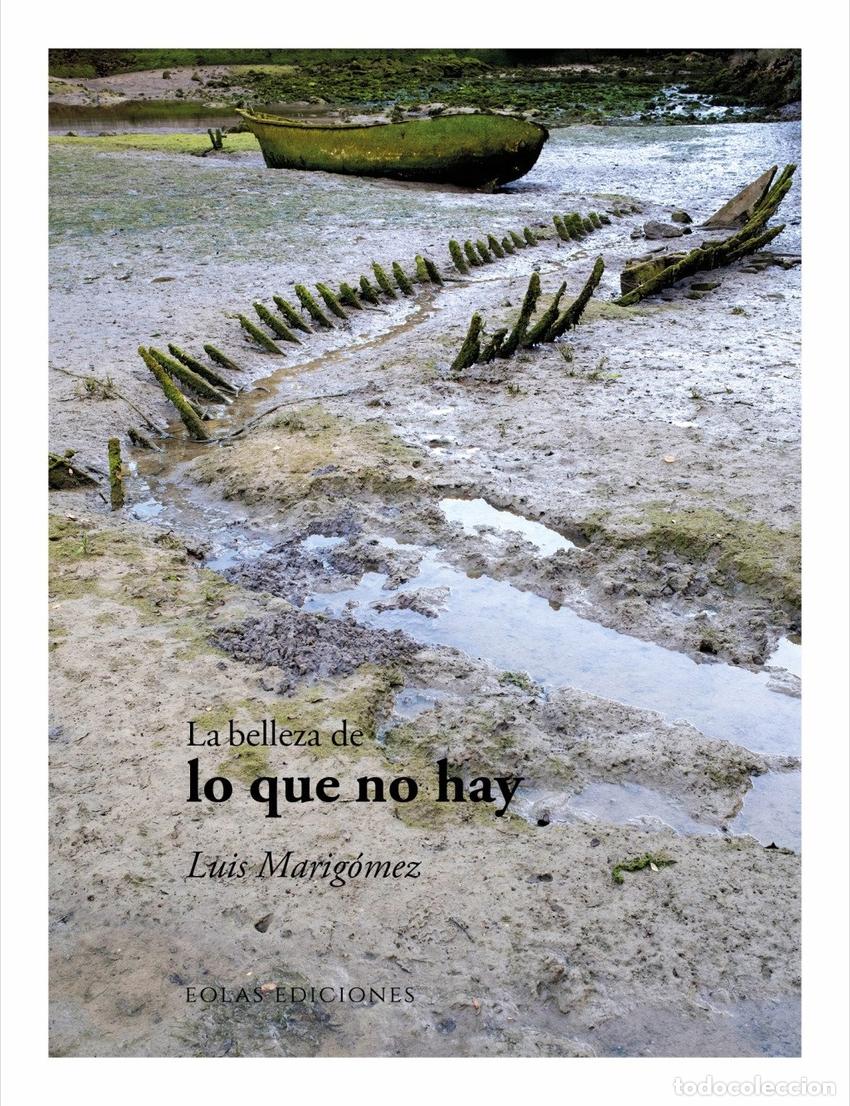 Libros: LA BELLEZA DE LO QUE NO HAY - Luis Marig&oacute;mez
