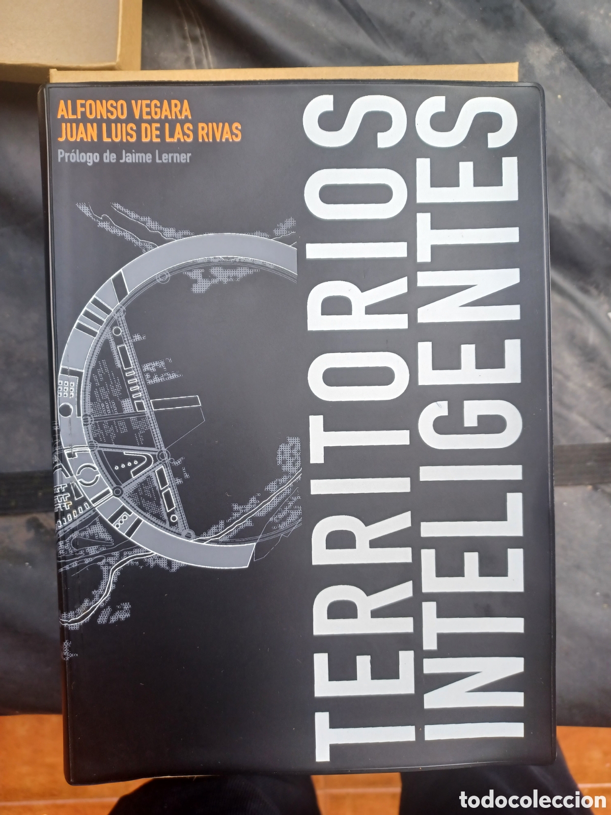 Libros: Territorios Inteligentes. Alfonso Vegara, Juan Luis de las Rivas.