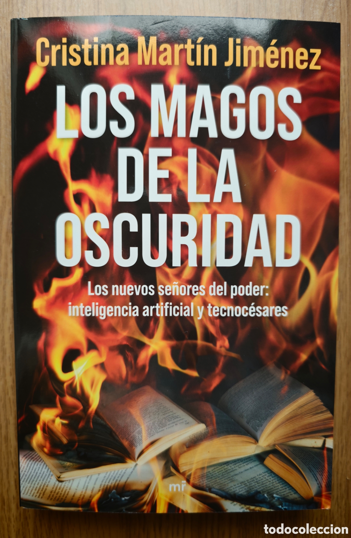 Libros: LOS MAGOS DE LA OSCURIDAD - Cristina Mart&iacute;n Jim&eacute;nez