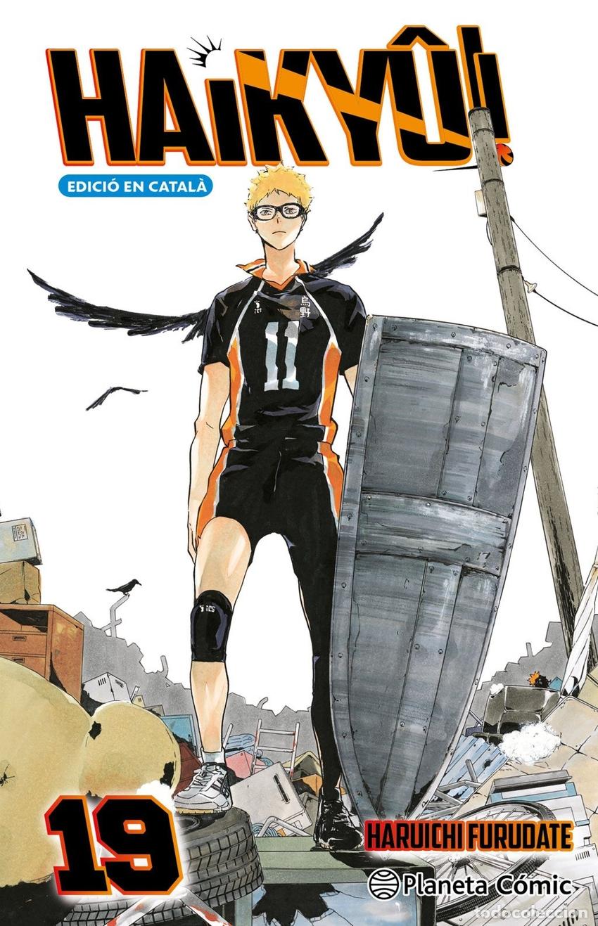 Libros: HAIKY&Ucirc;!! (CATAL&Agrave;) N&ordm; 19/45 - FURUDATE, HARUICHI