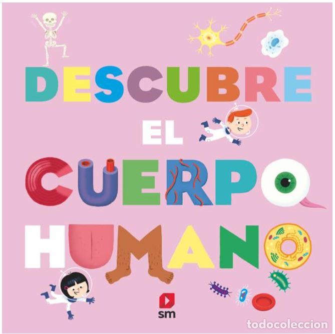 Livros: DESCUBRE EL CUERPO HUMANO - ZURCHER, MURIEL