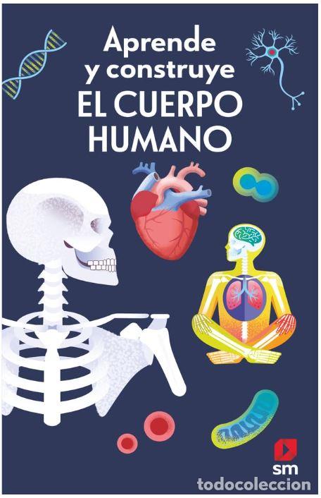 Libros: APRENDE Y CONSTRUYE. EL CUERPO HUMANO - MAYES, SUSAN