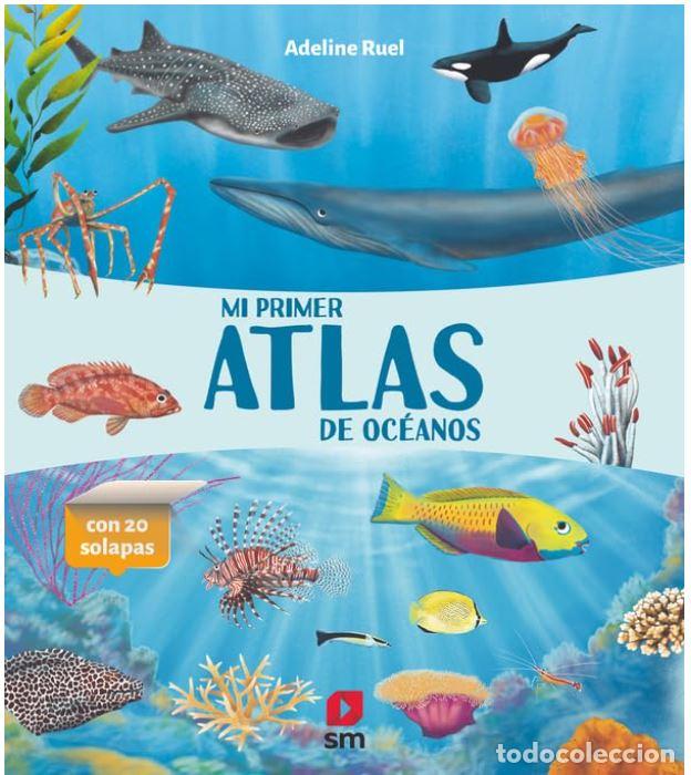 Libros: MI PRIMER ATLAS DE OCEANOS - RUEL, ADELINE