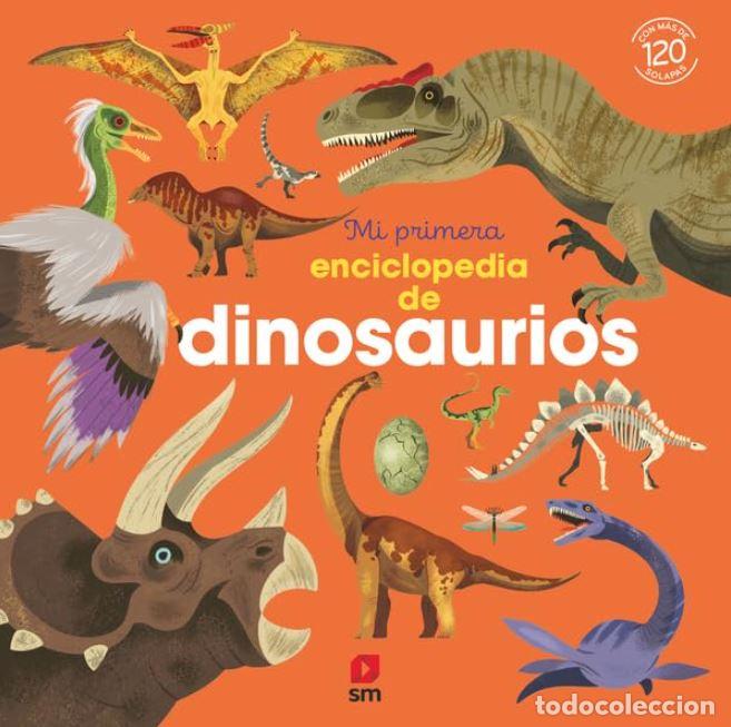 Livros: MI PRIMERA ENCICLOPEDIA DE DINOSAURIOS - KECIR LEPETIT, EMMANUELLE