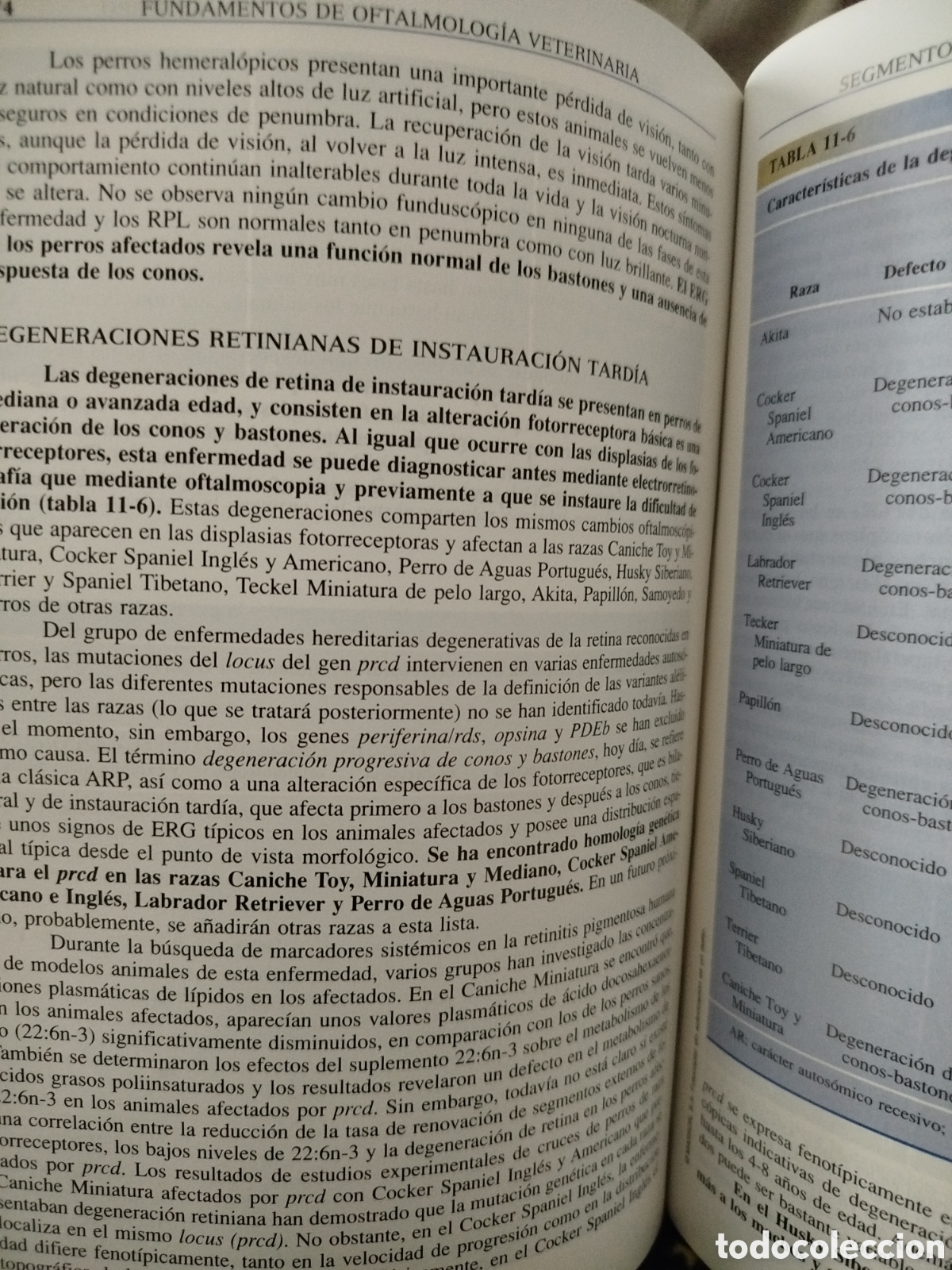 Libros: Oftalmolog&iacute;a veterinaria - Foto 3