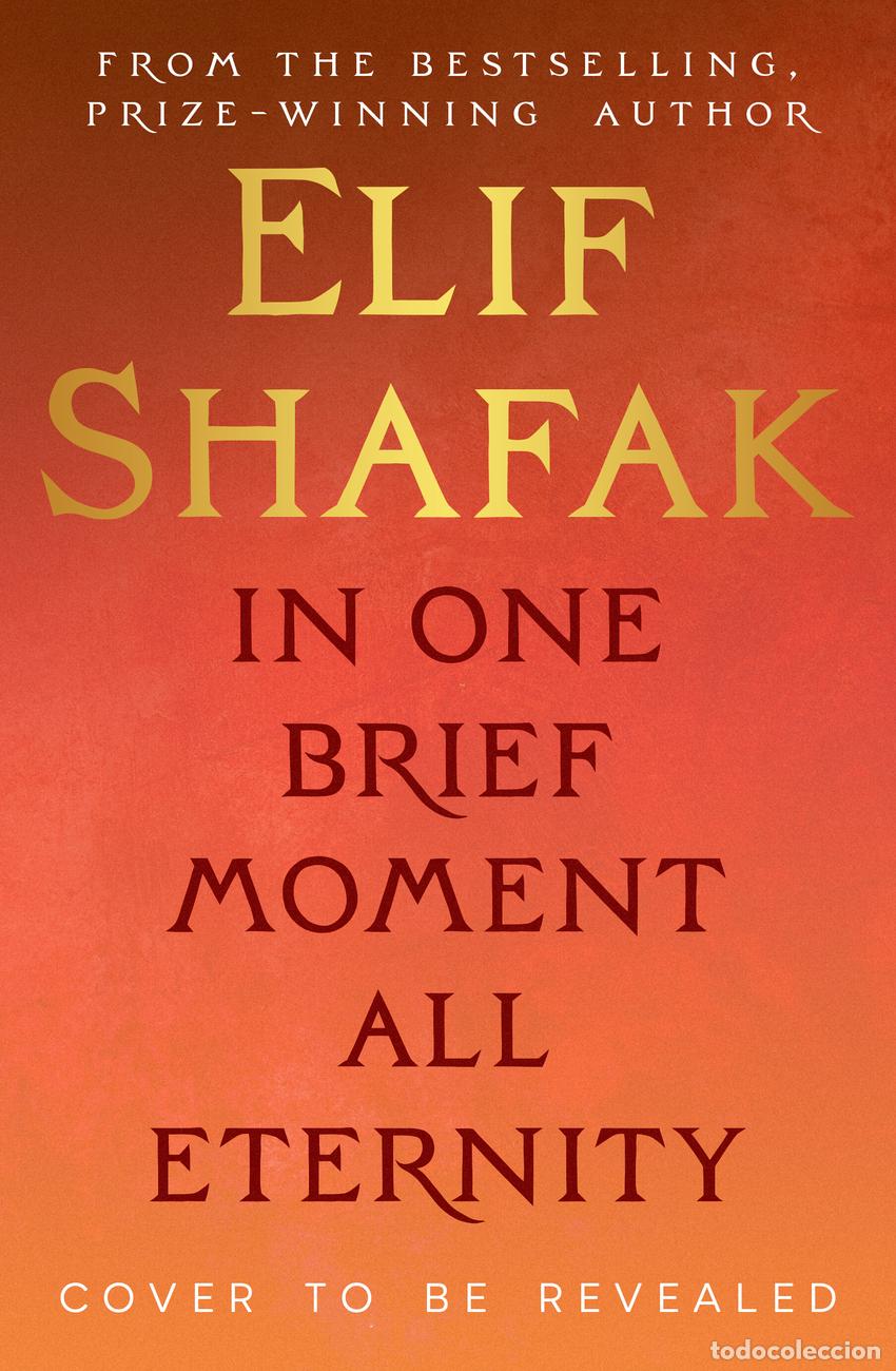 Libros: IN ONE BRIEF MOMENT ALL ETERNITY - SHAFAK, ELIF