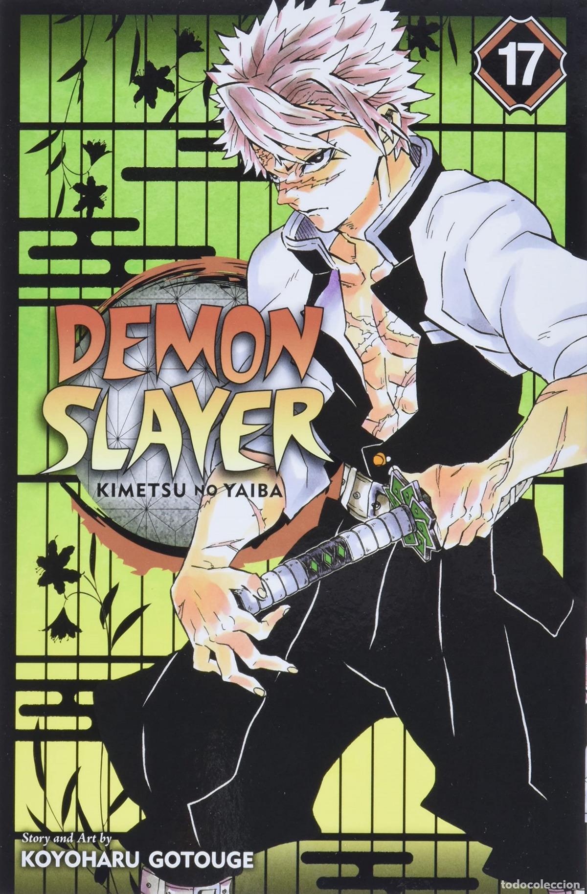 Libros: DEMON SLAYER V17 - GOTOUGE, KOYOHARU