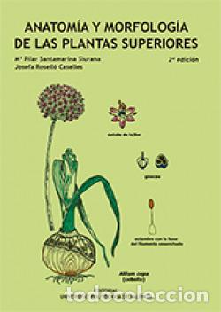 Libri: ANATOM&Iacute;A Y MORFOLOG&Iacute;A DE LAS PLANTAS SUPERIORES - Santamarina Siurana, Pilar