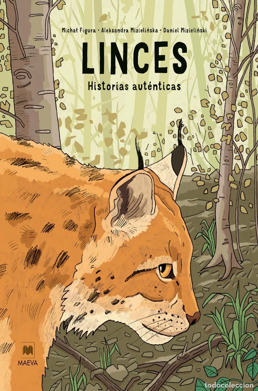 books: LINCES: HISTORIAS AUTENTICAS - Mizielinski, Daniel