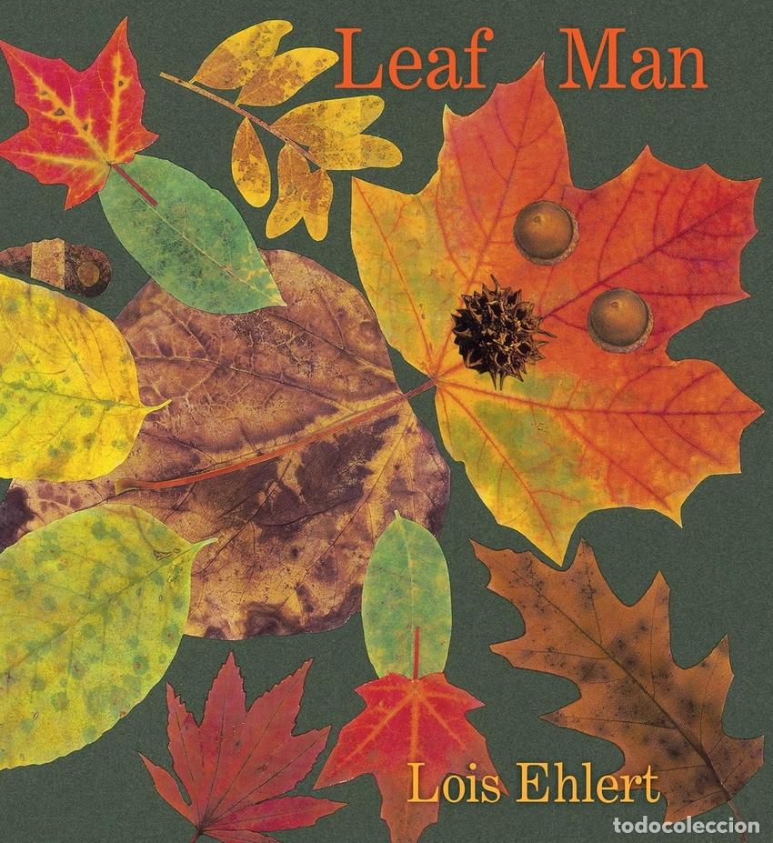 Libros: LEAF MAN BOARD BOOK - Ehlert, Lois
