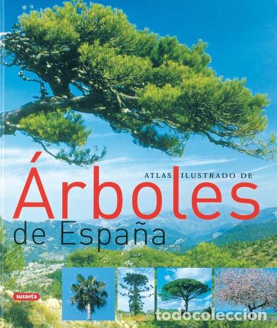 Libri: Atlas Ilustrado. &Aacute;rboles de Espa&ntilde;a - Varios