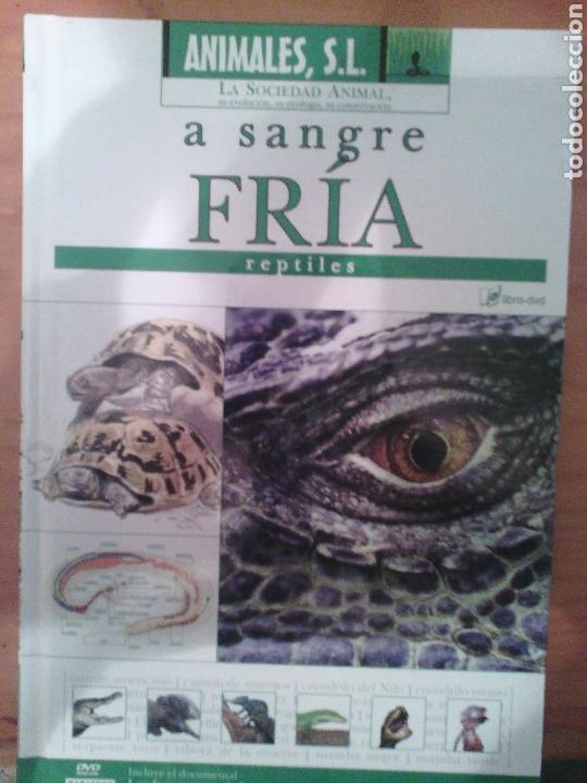 Libros: Animales sl. A sangre fria - Foto 1