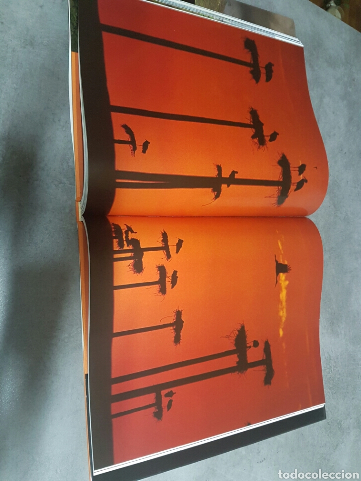 Libros: Libro fotogr&aacute;fico - Foto 4