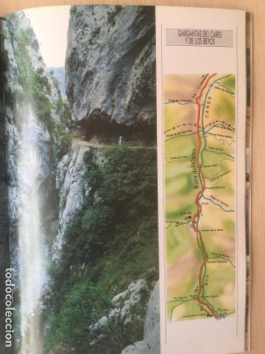 Libros: Los Picos de Europa. - Foto 4