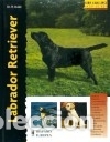 Libros: Labrador Retriever (Excellence) - Bernard Duke - Foto 1