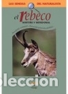 Libros: EL REBECO - Eric Weber - Foto 1
