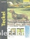 Libros: Teckel (Excellence) - Ingrid Schwartz - Foto 1