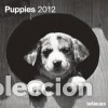 Libros: Calendario 2012. Puppies. - teNeues - Foto 1