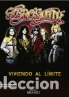 Libros: Aerosmith: viviendo al l&iacute;mite - Foto 1