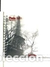 Libros: Paris 2011 - Lanio, Heiko - Foto 1
