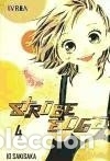 B&uuml;cher: STROBE EDGE 04 (COMIC)