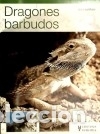 Libros: Dragones barbudos - M&uuml;ller, Veronika - Foto 1