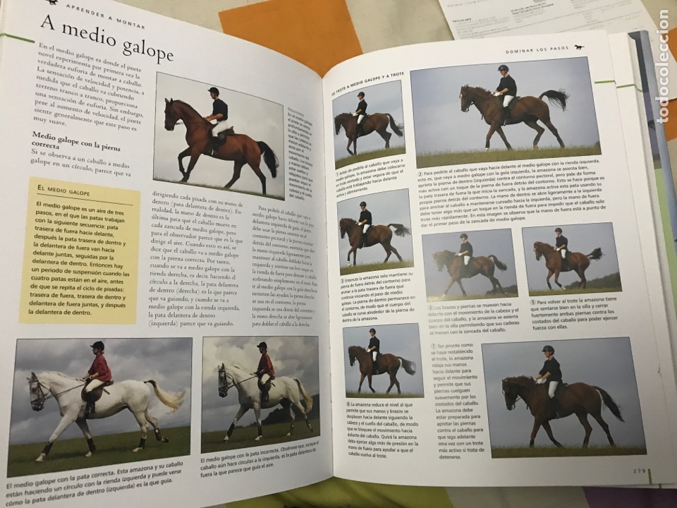 Libros: Gran enciclopedia del Caballo, editorial LIBSA - Foto 3