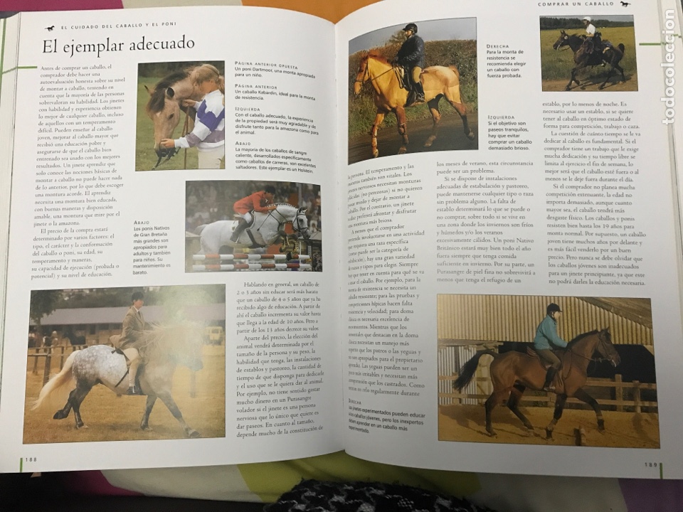 Libros: Gran enciclopedia del Caballo, editorial LIBSA - Foto 4