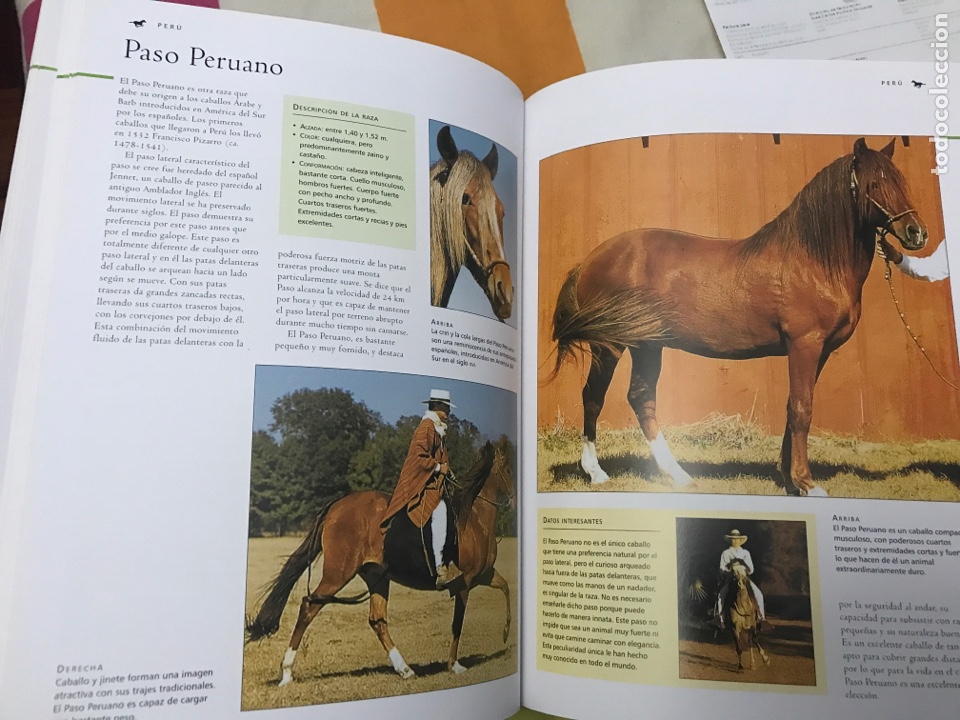 Libros: Gran enciclopedia del Caballo, editorial LIBSA - Foto 5