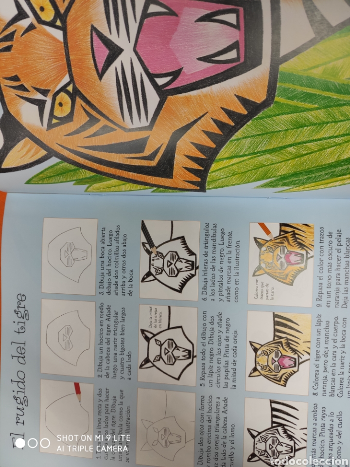 Libros: Animales, dibujos paso a paso - Foto 3