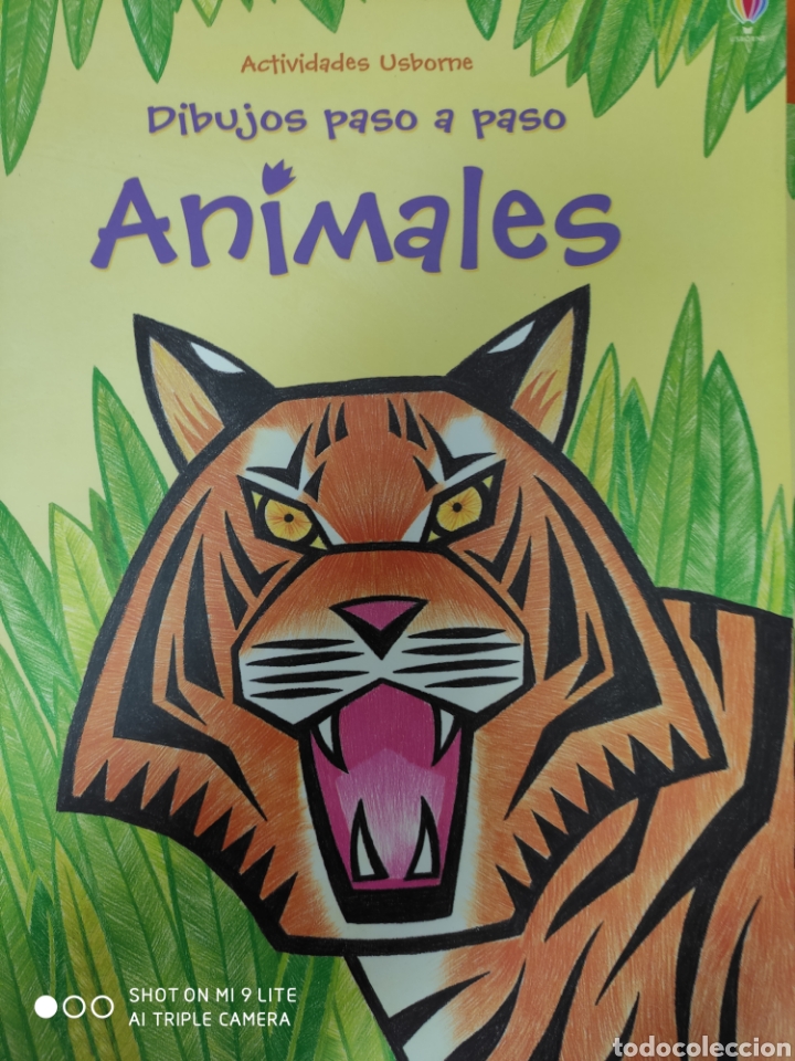 Libros: Animales, dibujos paso a paso - Foto 1