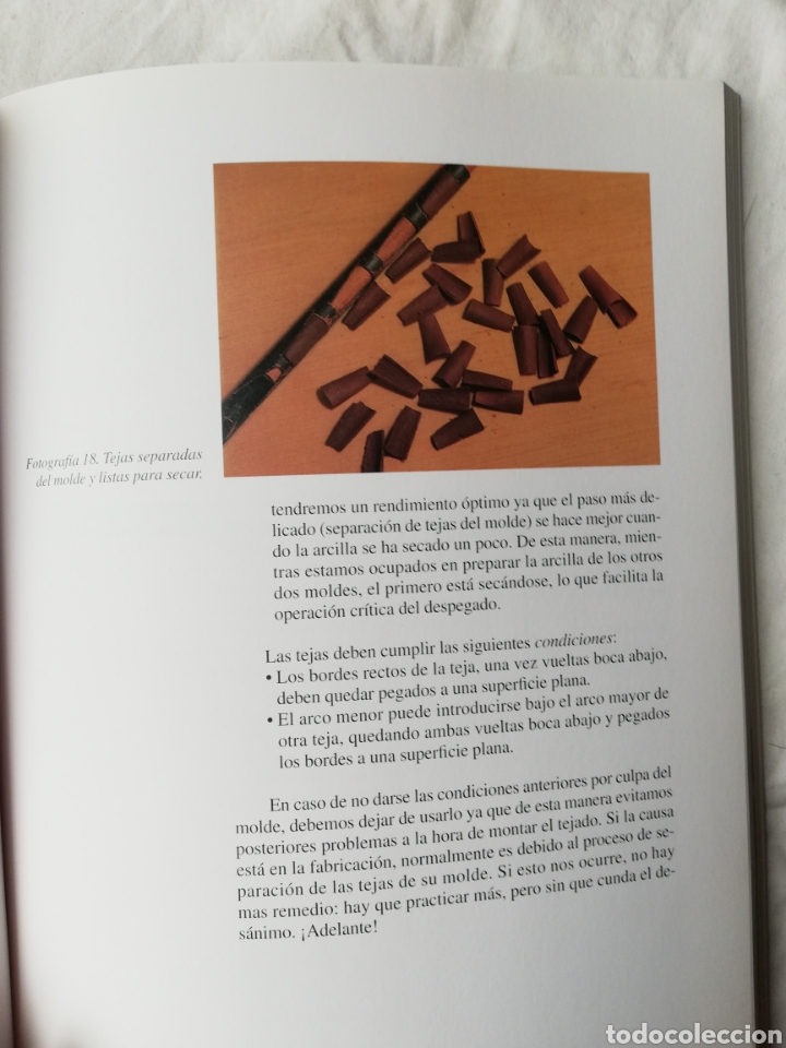 Libros: Casas en miniatura con elementos naturales - Foto 5