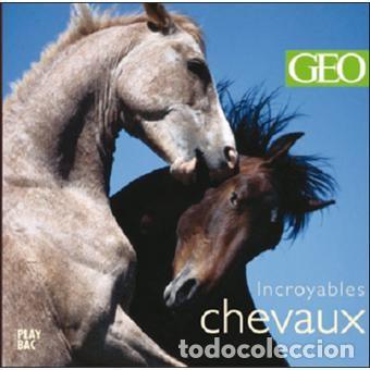 Libros: Incroyables chevaux (Franc&eacute;s) GEO PLAY BAC - Foto 1