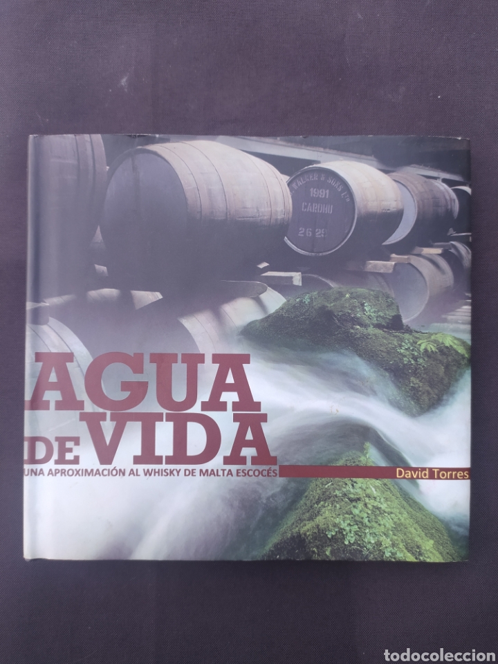 Libros: Agua de Vida, David Torres - Foto 1