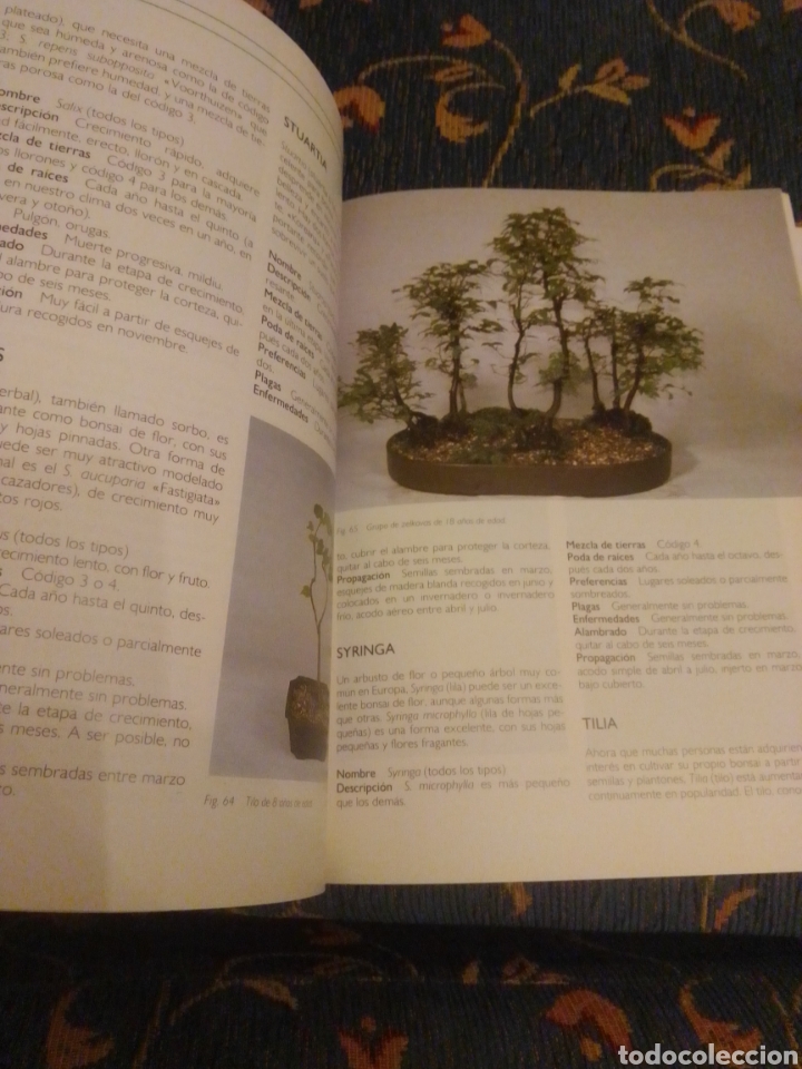 Libros: Bons&aacute;i Dave pike - Foto 3