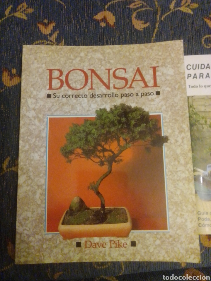 Libros: Bons&aacute;i Dave pike - Foto 1