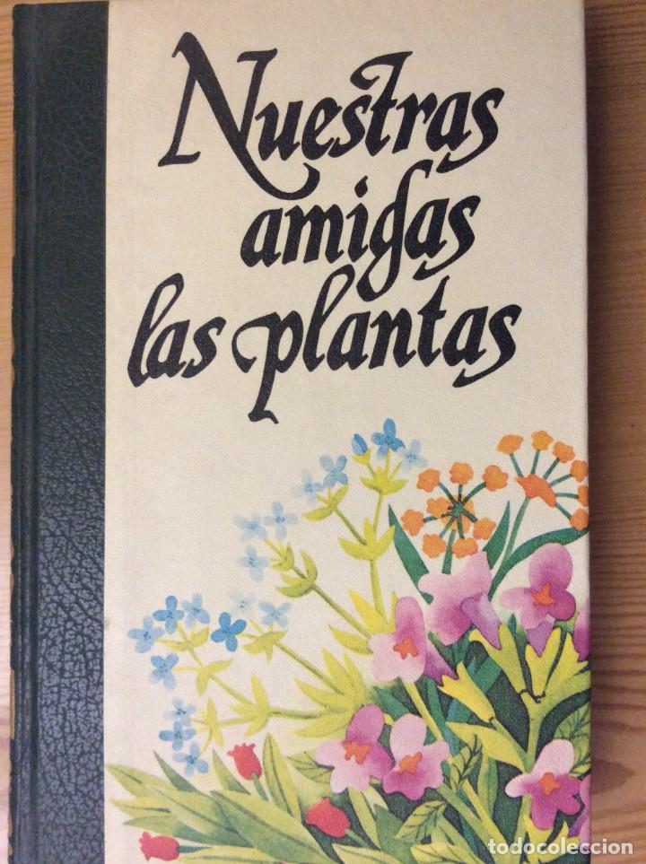 Libros: 3 LIBROS NUESTRAS AMIGAS LAS PLANTAS, DE DANIELE MANTA - Foto 1