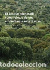 B&uuml;cher: El bosque adehesado como refugio de una entomofauna muy diversa - Galante Pati&ntilde;o, Eduardo; Ram&iacute;rez
