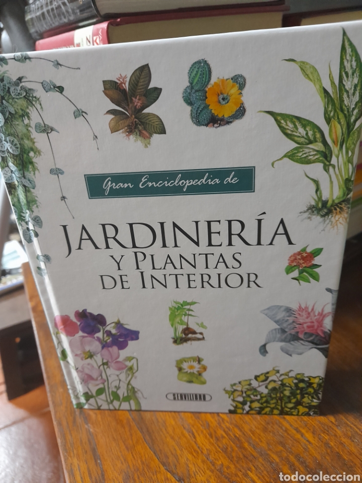 Libros: Jardiner&iacute;a y plantas de interior. - Foto 3