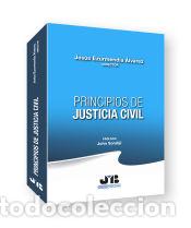 Libri: Principios de Justicia Civil - Maturana Baeza, Javier; Lagos Ochoa, Soledad; Mereminskaya, Elina;