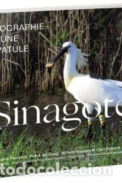 Libros: SINAGOTE -FRANCES - PIERSMA, THEUNIS
